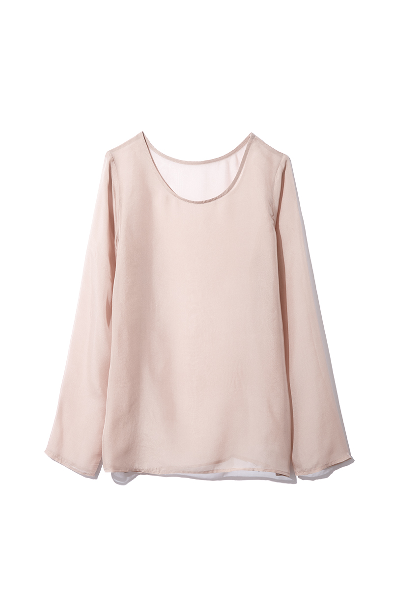 Sheer Long Sleeve Top
