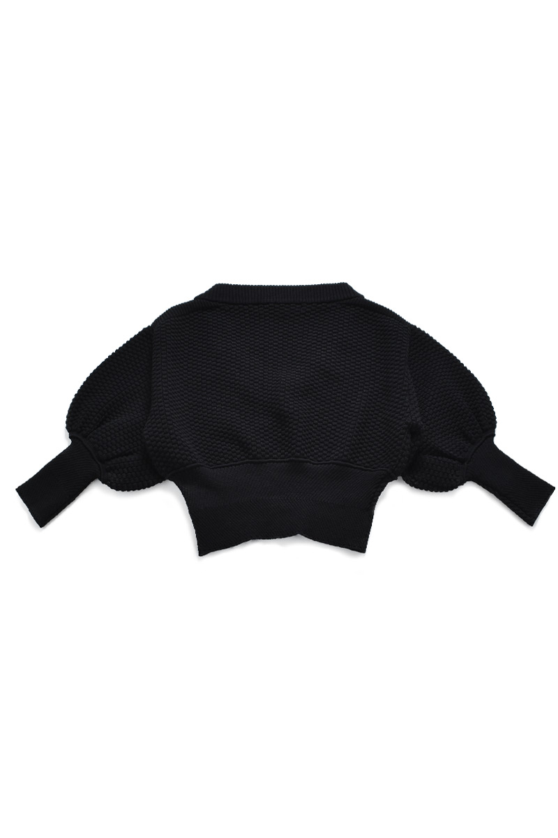 Corset Volume Sleeve Tops 詳細画像 Black 2