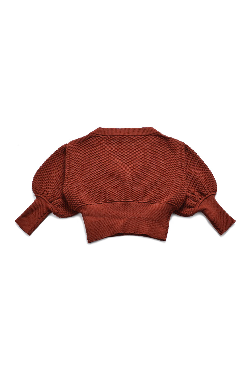 Corset Volume Sleeve Tops 詳細画像 Orange 2