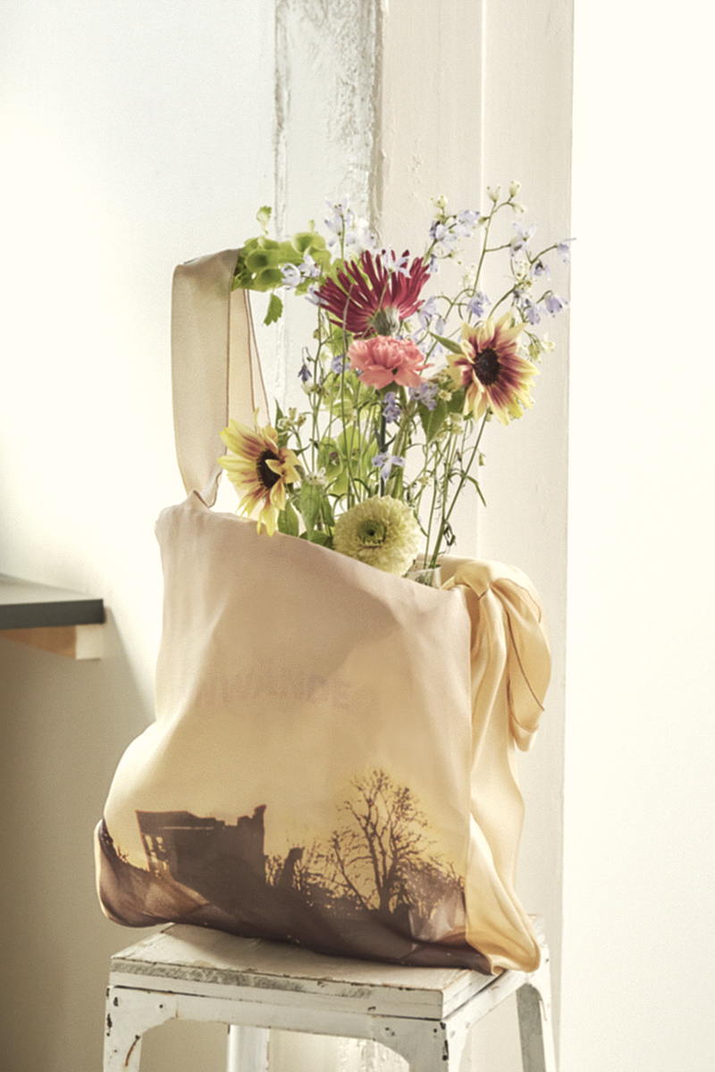 New Dawn See Through Big Bag