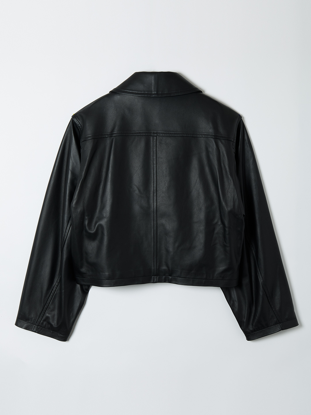 Leather Big Collar Blouson 詳細画像 Black 2