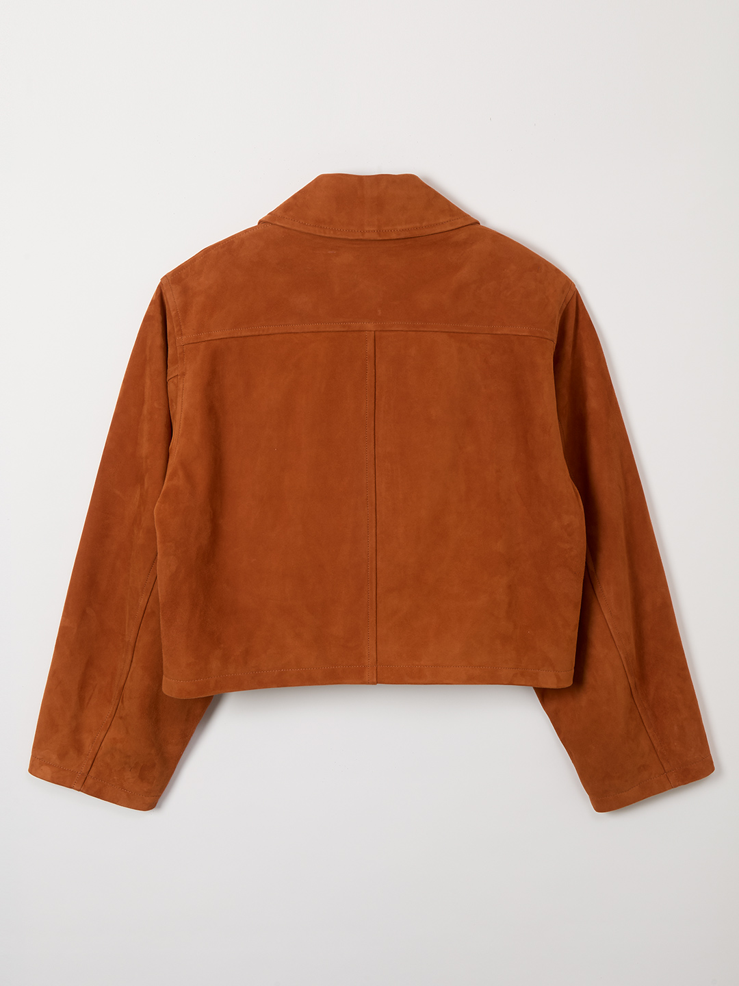 Suede Leather Jacket 詳細画像 Brown 2