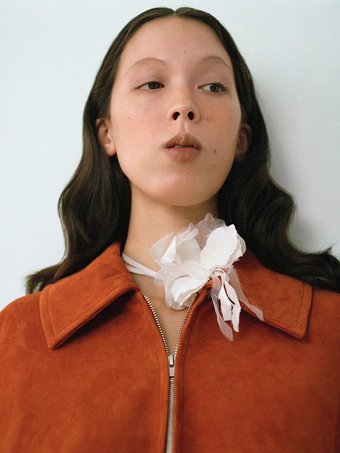 Iris Sheer Tie 詳細画像 White 2