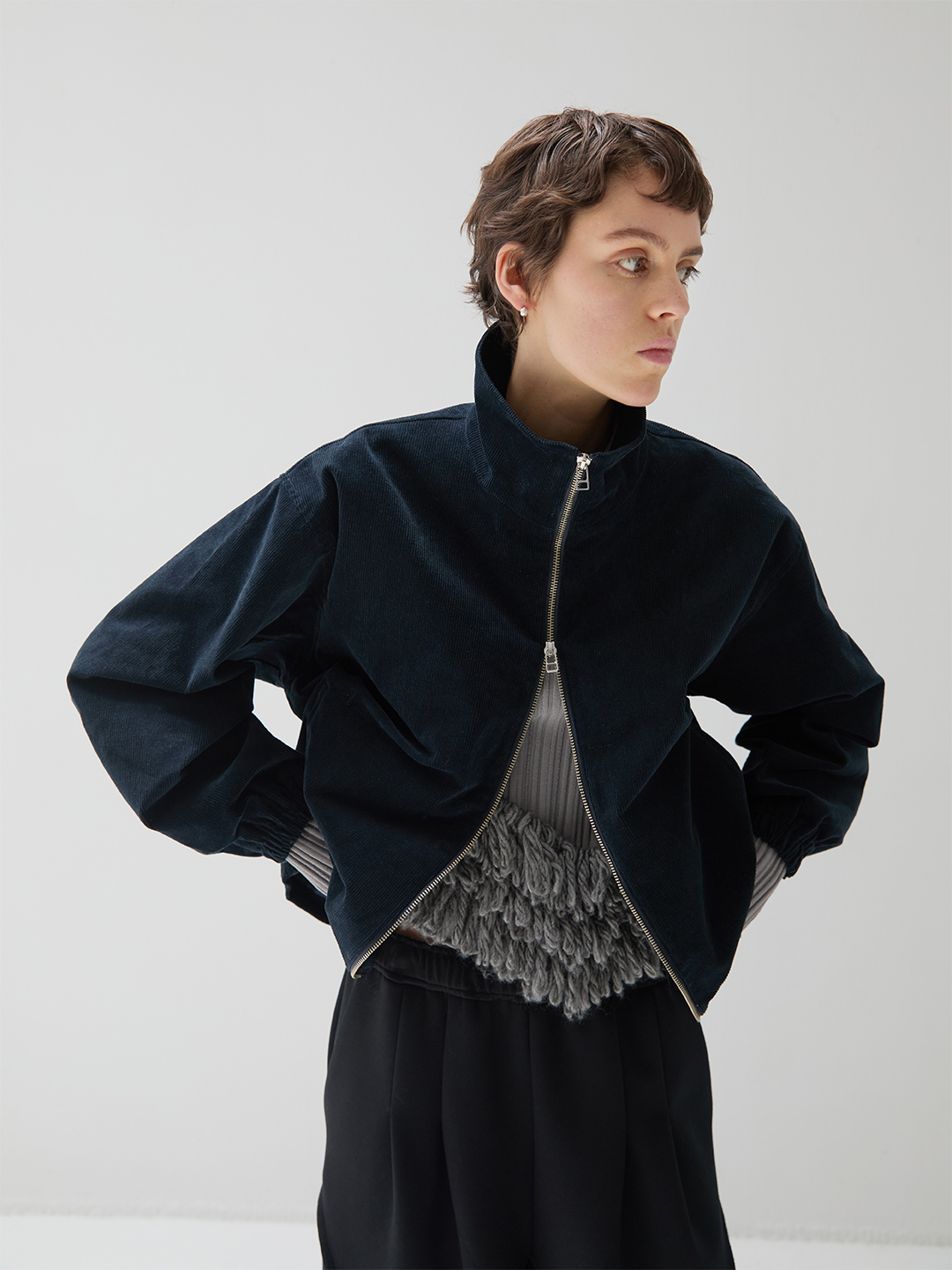 Short Zip Blouson 詳細画像 Navy 1