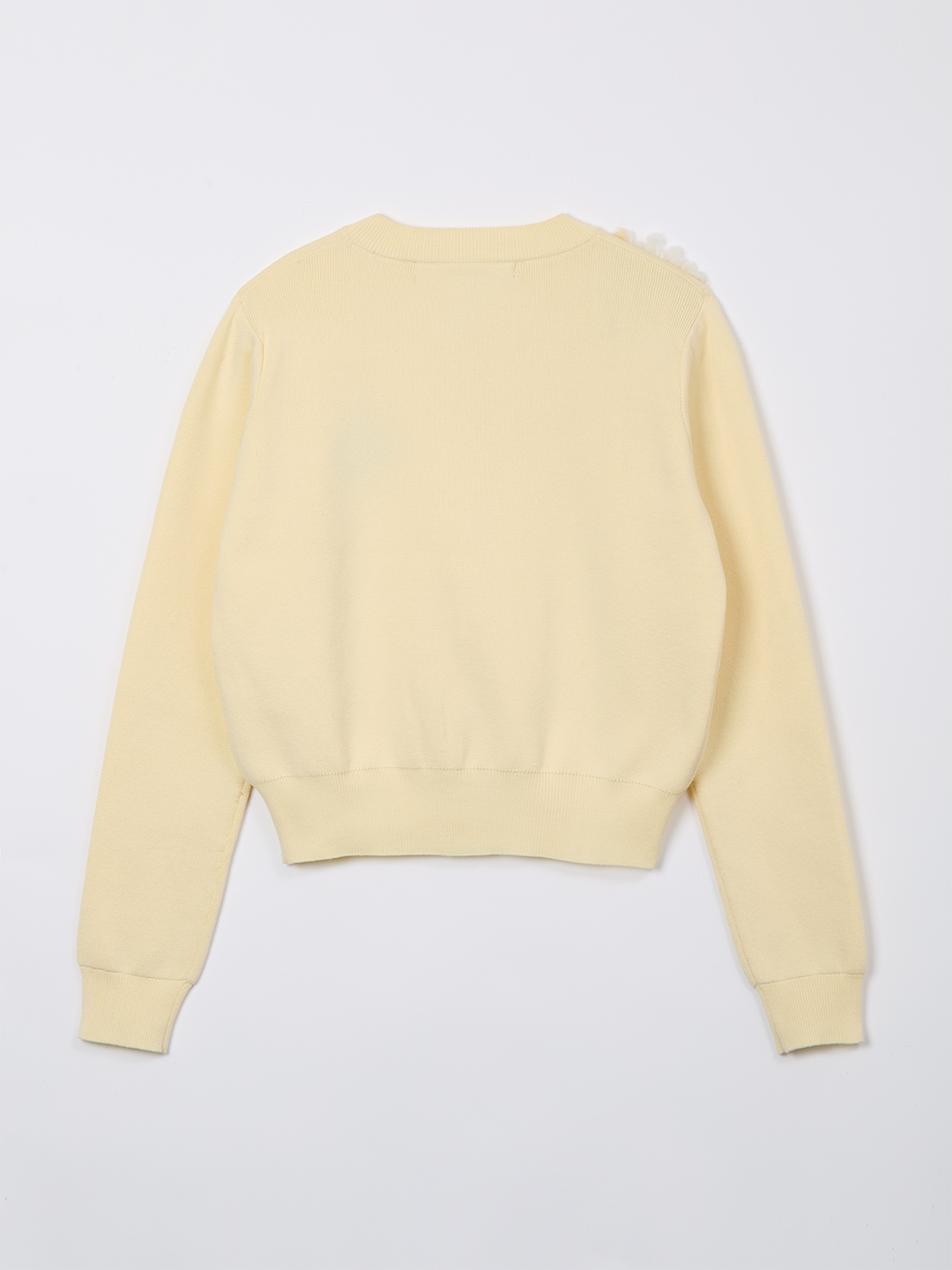 Botanical Embroidery Caidigan 詳細画像 Yellow 2